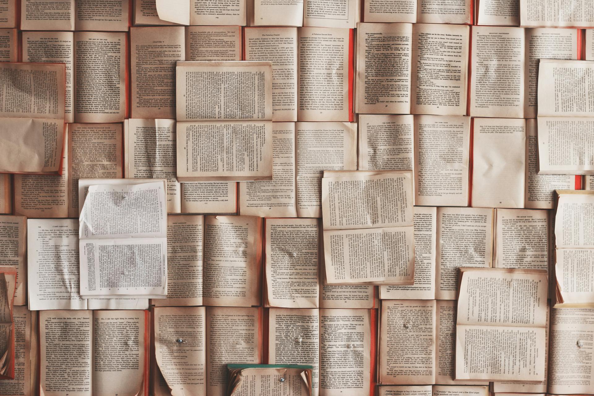 Person reading a book